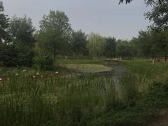 -东郊湿地公园