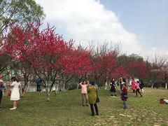 -西北湖绿化广场