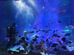 -沈阳海洋探索中心