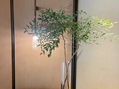 -上海佘山世茂艾美酒店