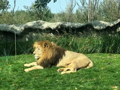 -北京野生动物园