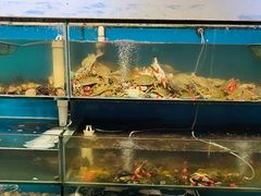 -仙螺岛海鲜自助餐厅(总店)