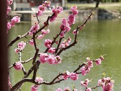 -颐和园