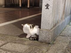 -Hōzen-ji Temple法善寺