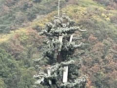 -杭州半山国家森林公园