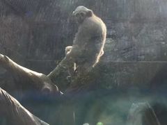 -贵州森林野生动物园