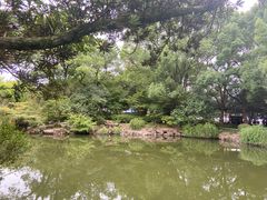 -汇龙潭