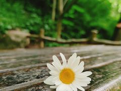 -青峰峡国家森林公园