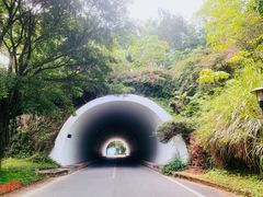 -福建鲤鱼洲酒店