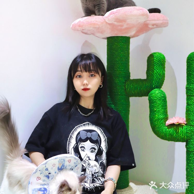 2年养宠经验宠物博主‼️都难逃过未卡猫空间