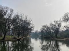 -西溪国家湿地公园