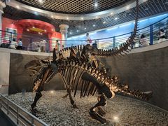 -国家自然博物馆