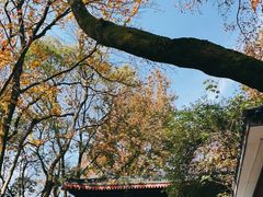 -岳麓山风景名胜区