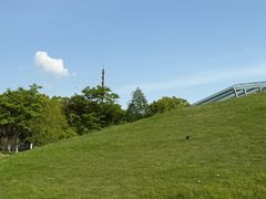 -合肥滨湖国家森林公园