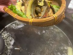 -滇野云南野生菌餐厅(陕西南路店)