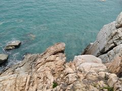 -广东惠东海龟国家级自然保护区