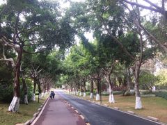 -五缘湾湿地公园