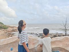 -广东惠东海龟国家级自然保护区