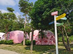 -漳州滨海火山岛自然生态风景区