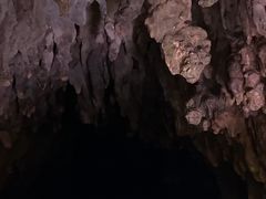 -怀托摩萤火虫洞