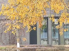 -国际非物质文化遗产博览园