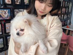 -汪说·狗咖(旺城大厦店)