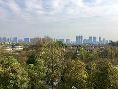 -西湖风景区-江洋畈生态公园