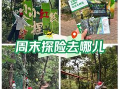-芦仙山景区-飞越丛林探险乐园