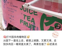 -厦门园林植物园-植物园滴水山房