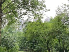 -重庆彩云湖湿地公园