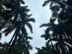 -广州长隆野生动物世界