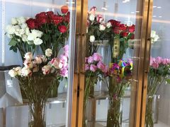 -ROSEONLY诺誓(国际广场购物中心店)