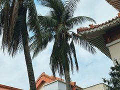 -海口市博物馆