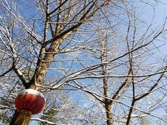 -天目湖御水温泉·度假酒店