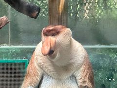 -广州长隆野生动物世界