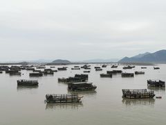 -小皓村