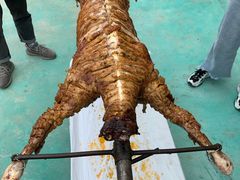 -欢乐松鼠谷