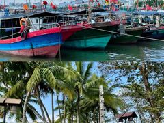 -中国（海南）南海博物馆