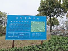 -漕湖湿地公园