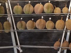 -都念榴莲·城市榴莲