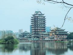 -眉山湿地公园(东坡区)