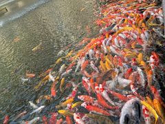 -番禺宾馆丽苑厅