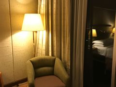 -新加坡瑞士史丹福酒店