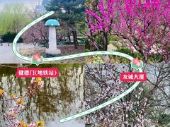 -元大都城垣遗址公园