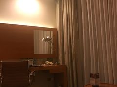 -上海浦东康桥绿地假日酒店