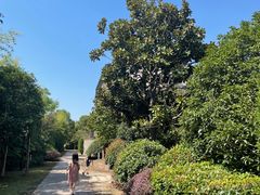 -上海崇明金茂凯悦酒店