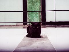 -半岛1919创意园区