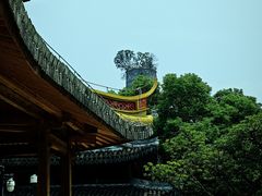 -江心屿景区