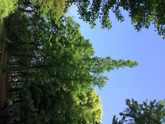 iphone_upload_pic-西湖风景区十里琅珰-五云山