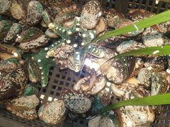 -79号渔船海鲜饭店(华强北店)